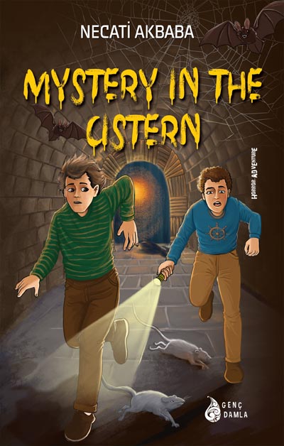 Mystery in Cistern